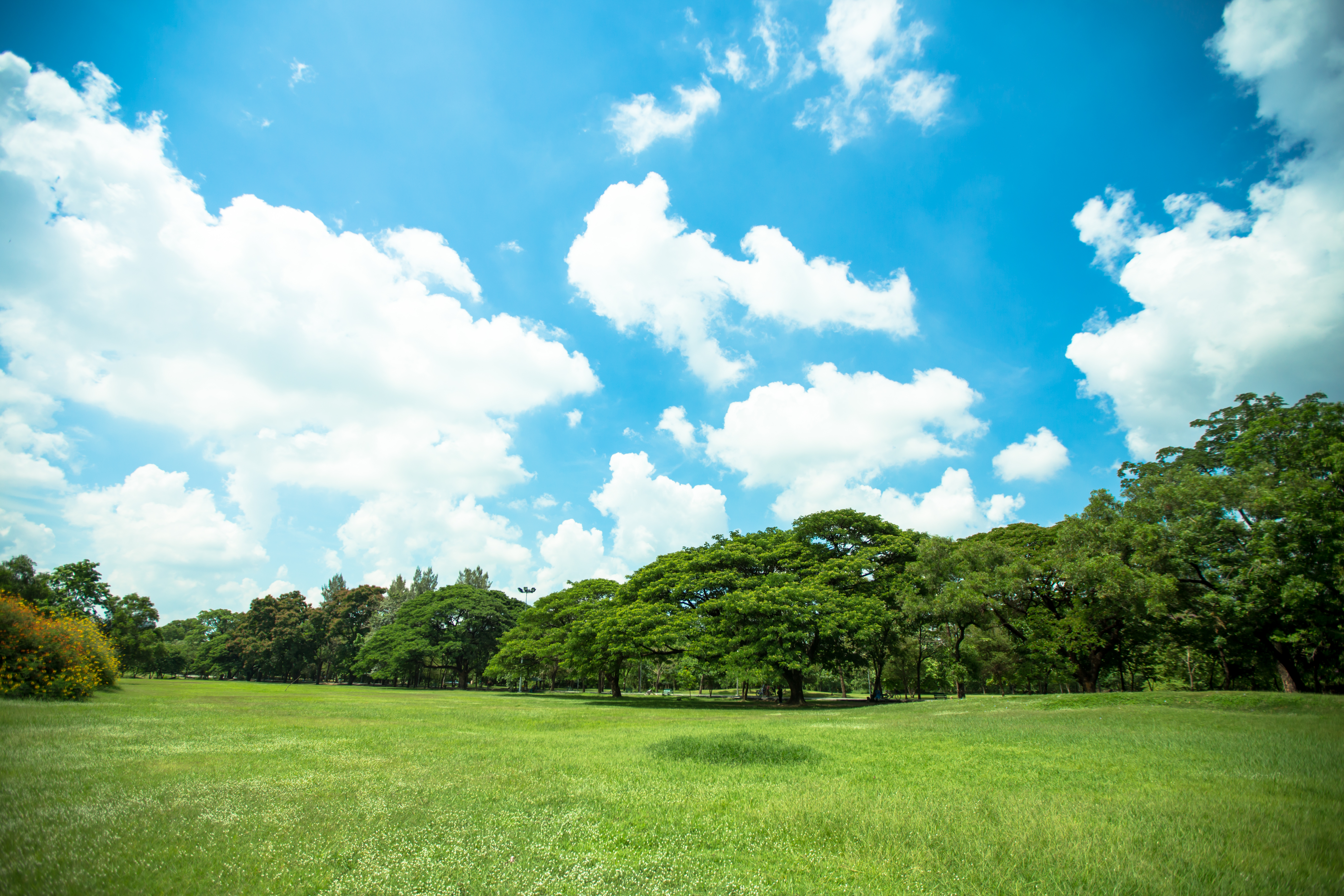 Environmental and Social Impact Assessment